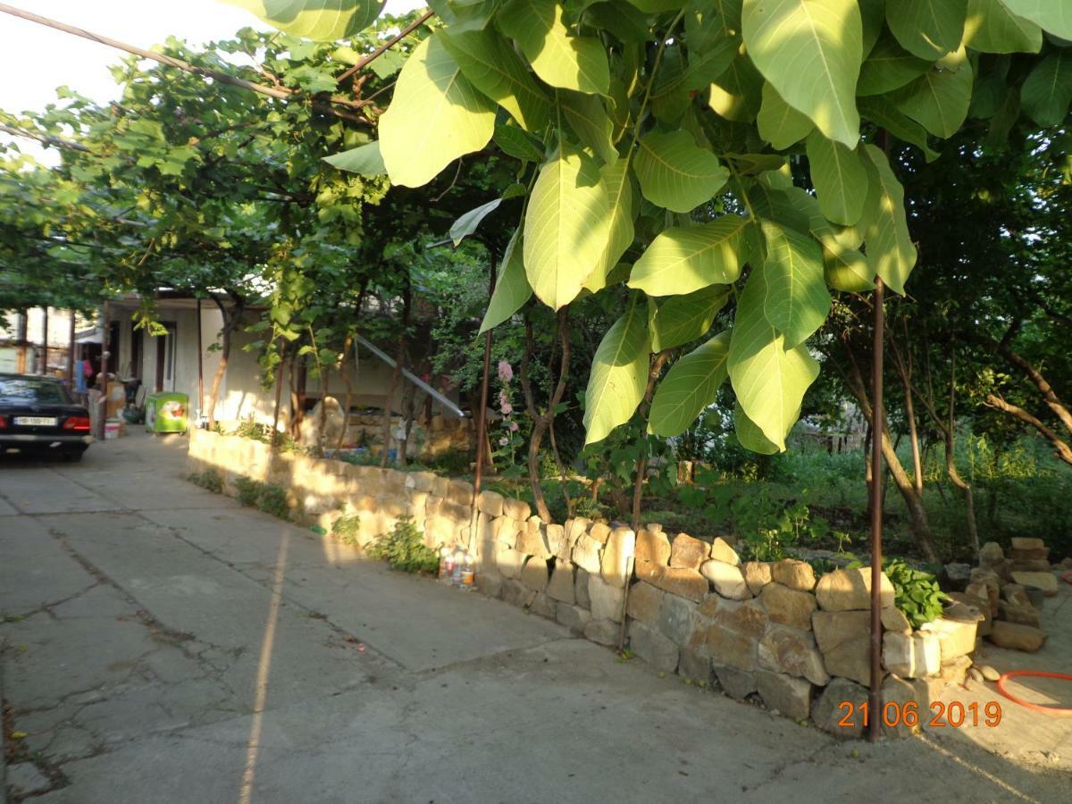 My Home Udabno Luaran gambar